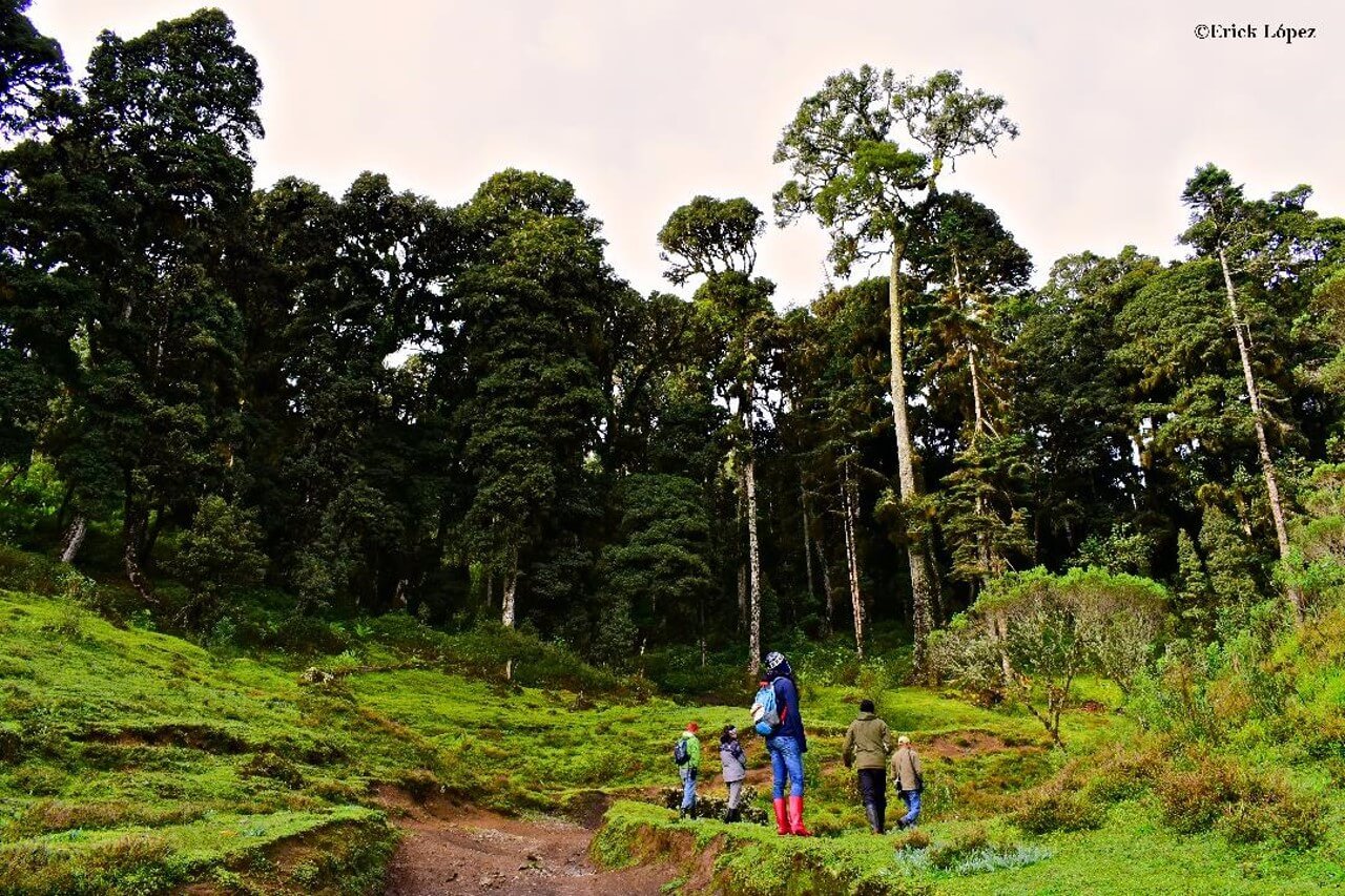  Foto: Cortesía Rocío Silva 